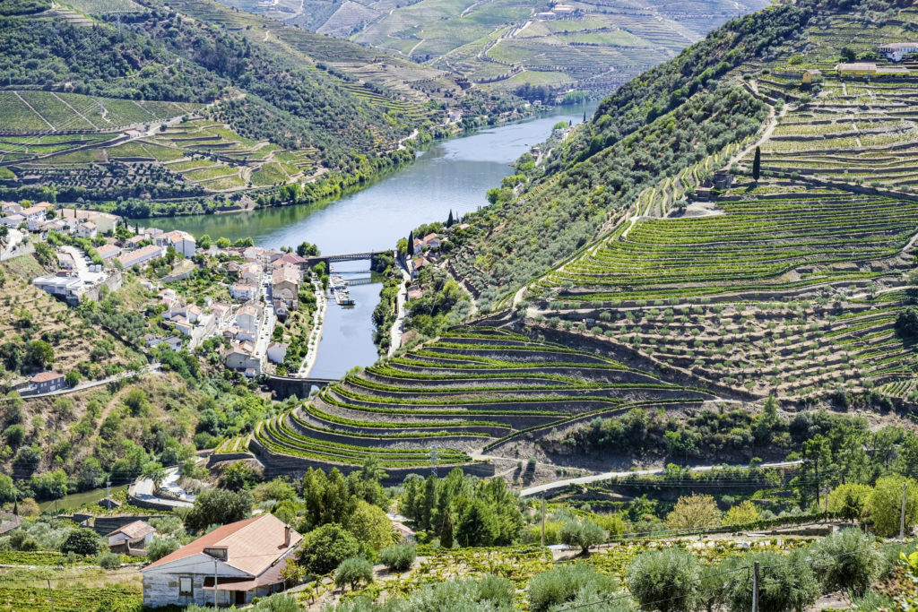 Pinhão im Douro-Tal. Weltberühmte Reblagen.